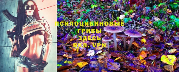 скорость Новокубанск